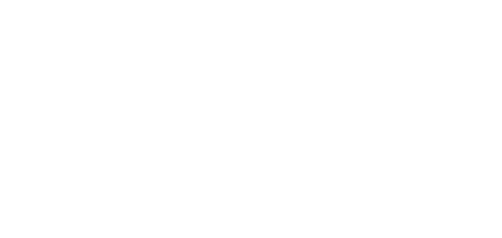 EMF Risk Consulting